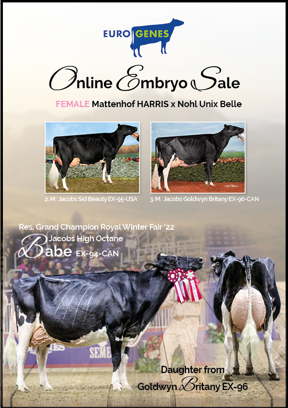 Get a piece out of Jacobs Goldwyn Britany EX-96-CAN!